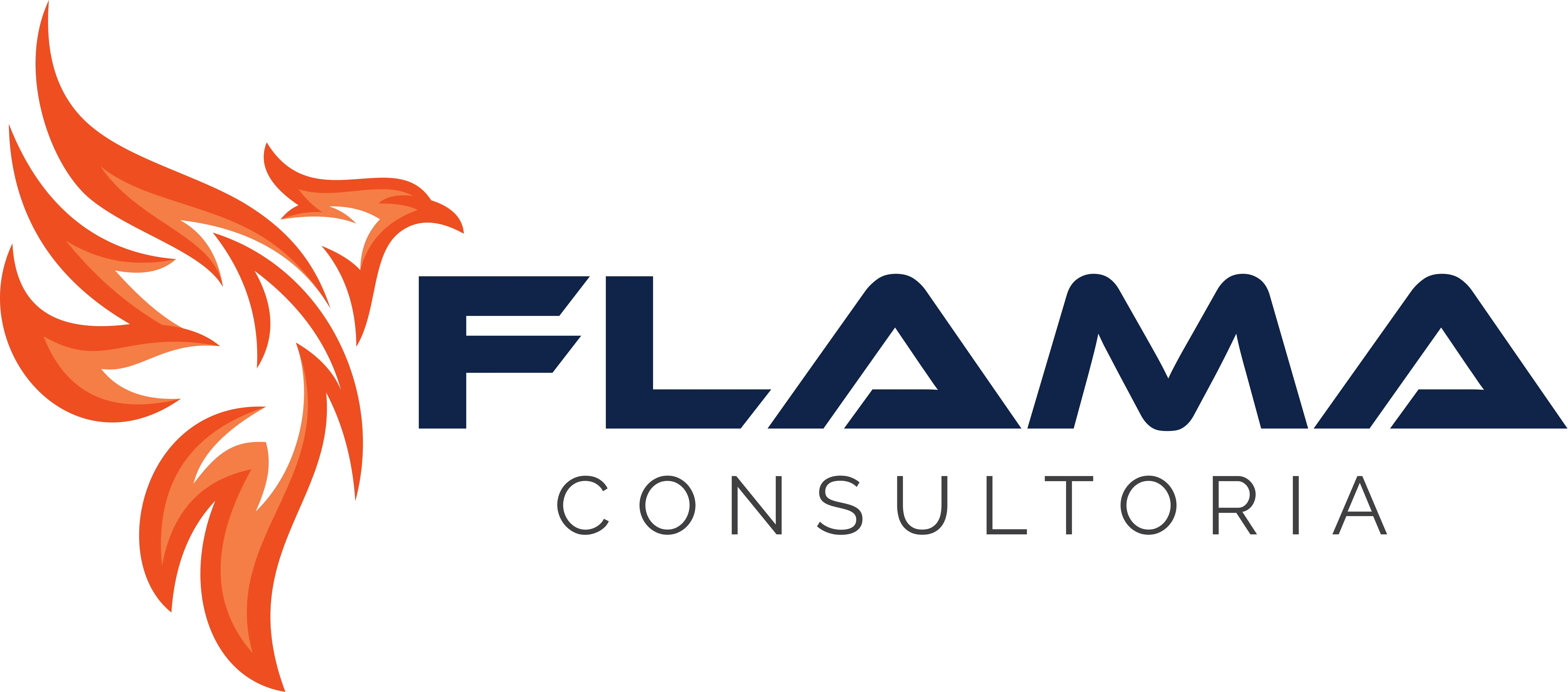 Logo FLAMA CONSULTORIA
